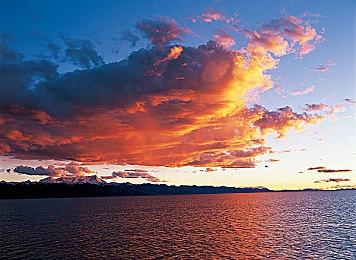 《消逝的光芒2》PC更新上线 修复玩家无限死亡循环问题