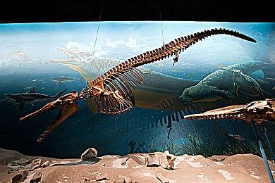 黑曜石：若不是Xbox收购 《宣誓》就不会是单人RPG